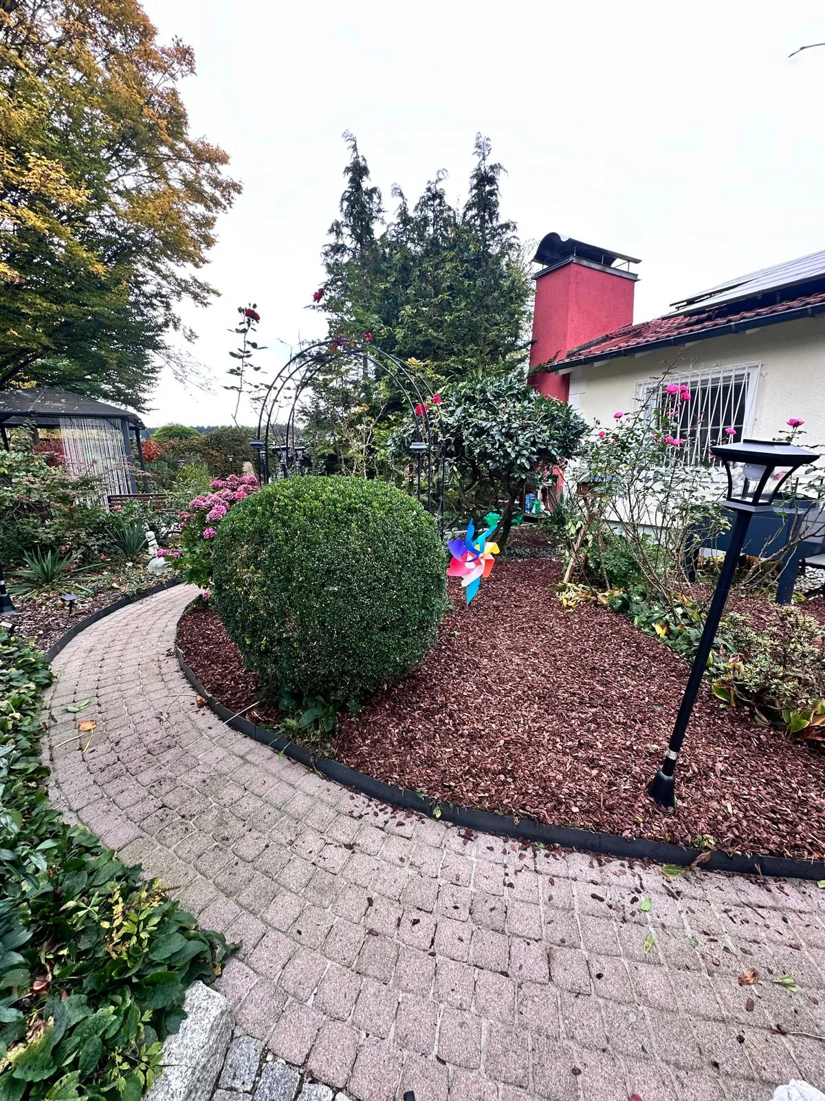 Professionelle Gartengestaltung mit gepflegtem Weg und Büschen